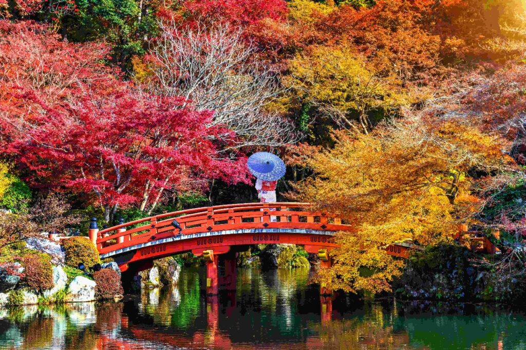 Discover Kyoto's timeless allure, where ancient traditions coexist with modern life. Explore historical treasures, tranquil gardens, and culinary delights.